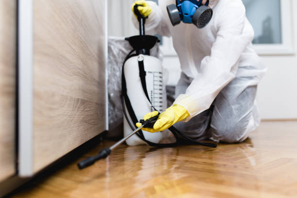 Best Exterminator Services  in Bourbon, MO