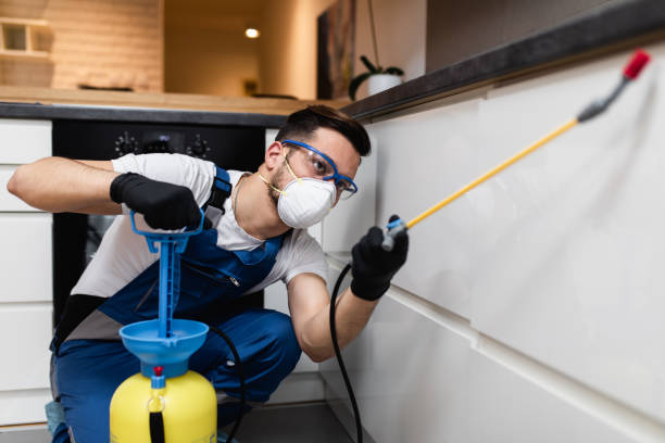 Best Flea Control Services  in Bourbon, MO