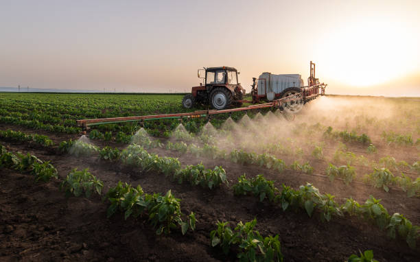 Best Best Pest Control Companies  in Bourbon, MO