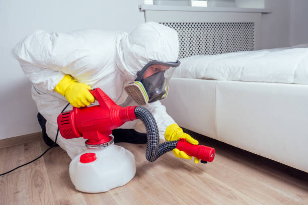 Best Mosquito Control Services  in Bourbon, MO