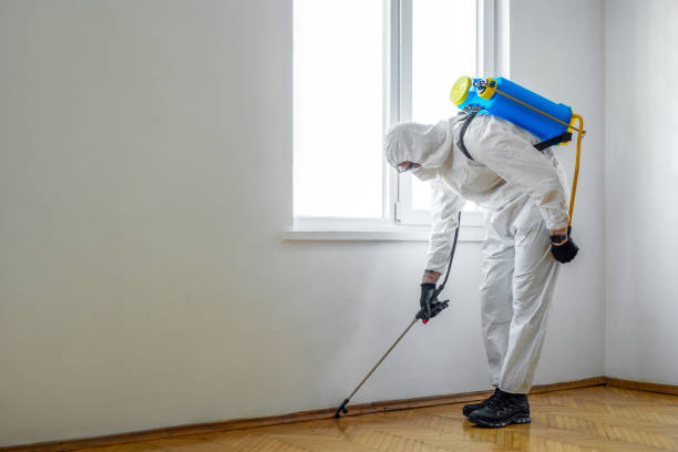 Best Affordable Pest Control Services  in Bourbon, MO