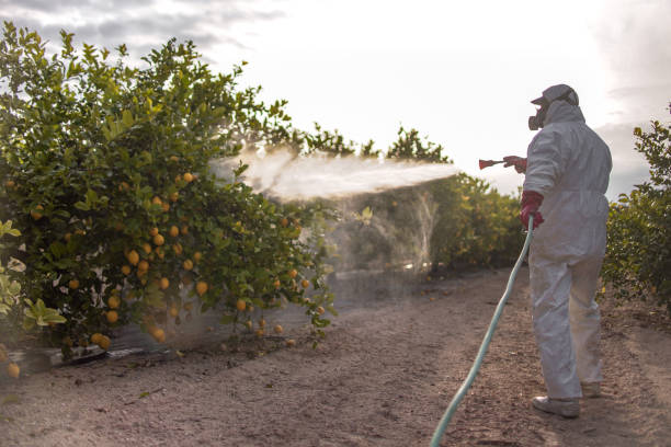 Best Pest Control for Businesses  in Bourbon, MO