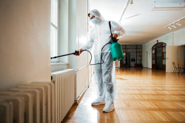 Reliable Bourbon, MO Pest Control Solutions