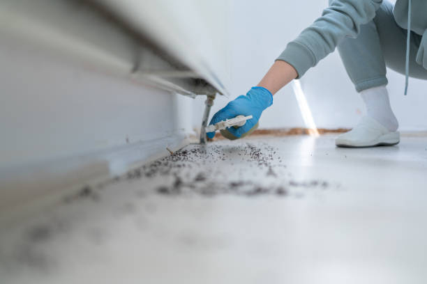 Best Residential Pest Control  in Bourbon, MO