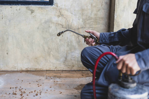 Best Local Pest Control Services  in Bourbon, MO