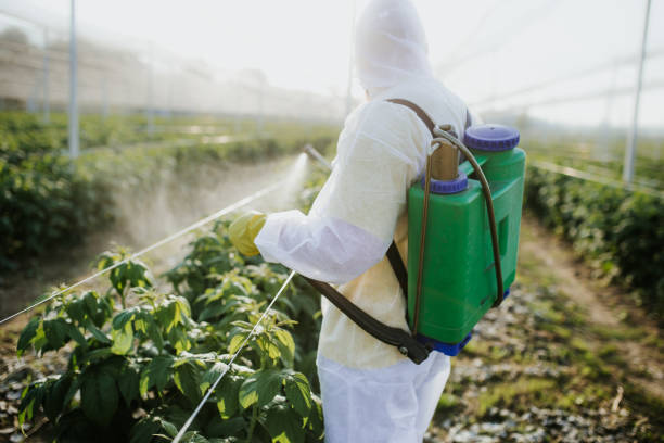 Best Cockroach Control Services  in Bourbon, MO